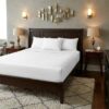100% Cotton - 800 Thread Count