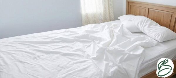 100% Cotton - 800 Thread Count